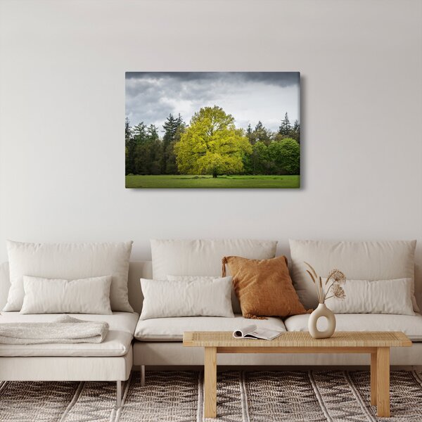 Obraz zeleného stromu uprostred poľa (90x60 cm)