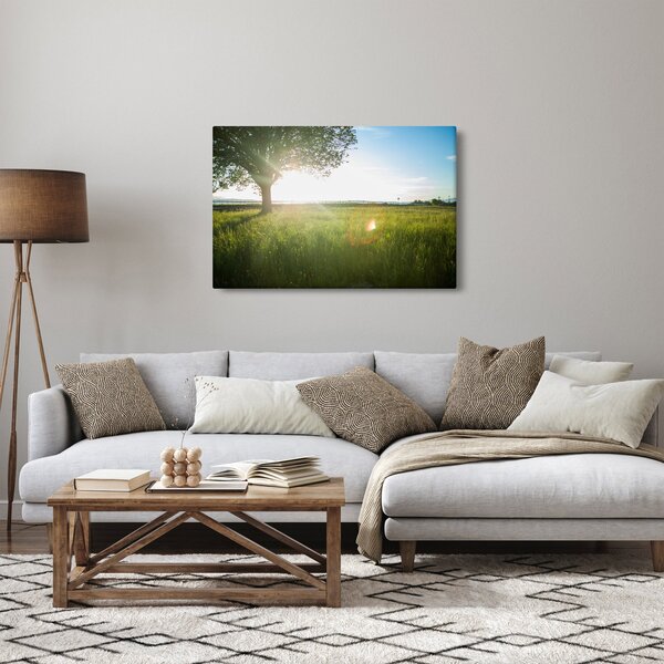 Obraz stromu v poli (90x60 cm)