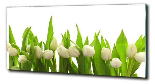 Foto obraz sklo tvrdené Biele tulipány