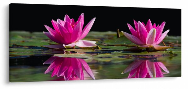 Obraz lekien na vode (120x50 cm)
