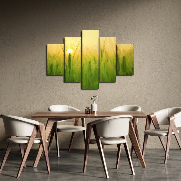 Obraz - Pole s obilím (150x105 cm)