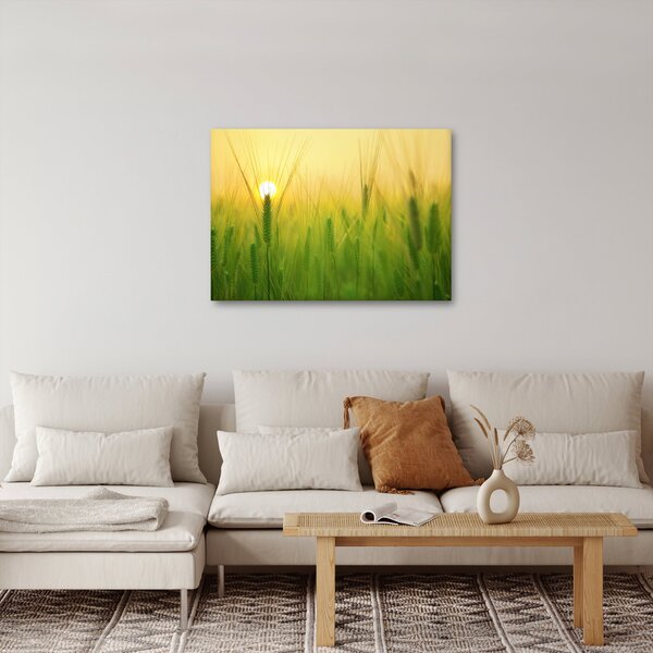 Obraz - Pole s obilím (70x50 cm)