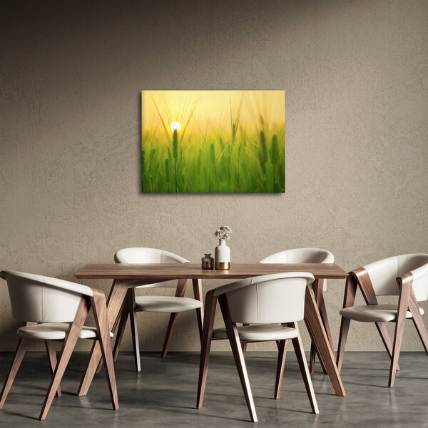 Obraz - Pole s obilím (70x50 cm)
