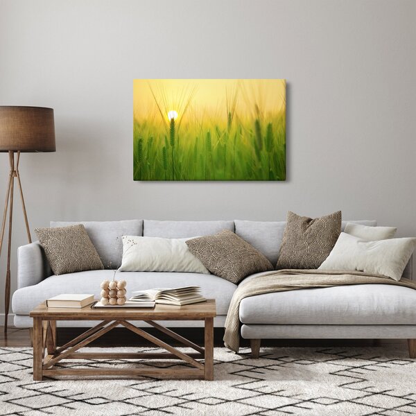 Obraz - Pole s obilím (90x60 cm)
