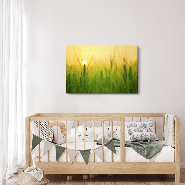 Obraz - Pole s obilím (90x60 cm)