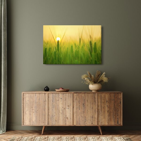Obraz - Pole s obilím (90x60 cm)