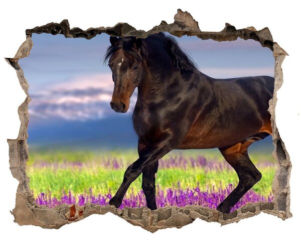 Fototapeta díra na zeď Kôň v poli levandule