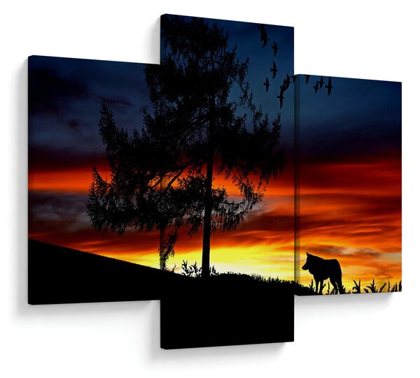 Obraz - Silueta vlka (90x60 cm)