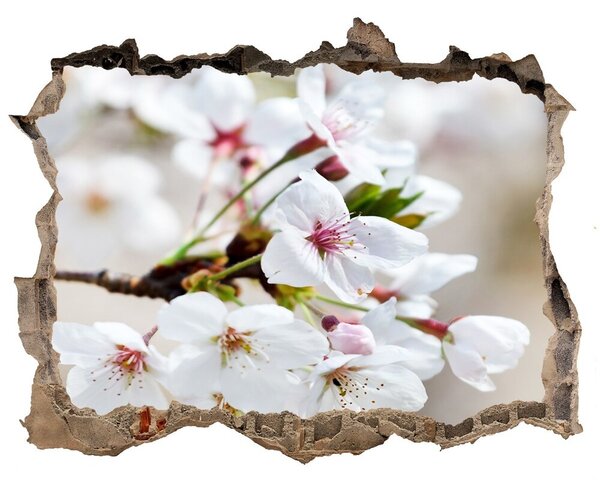 Samolepící nálepka na zeď Čerešňové kvety