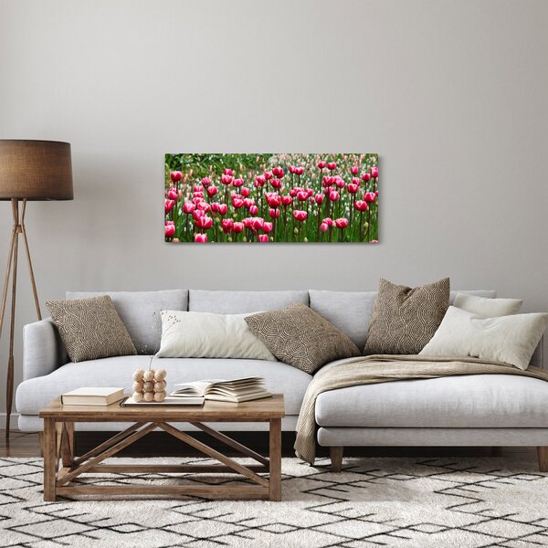 Obraz tulipánov (120x50 cm)