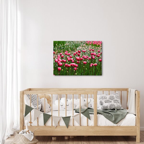 Obraz tulipánov (70x50 cm)
