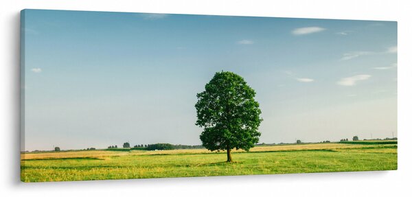 Obraz stromu uprostred lúky (120x50 cm)