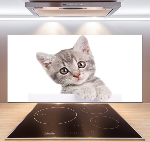 Sklenený panel do kuchynskej linky Sivá mačka