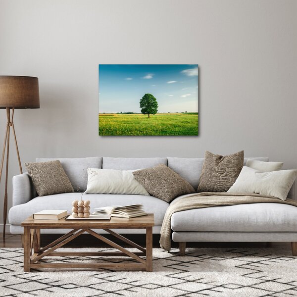 Obraz stromu uprostred lúky (70x50 cm)