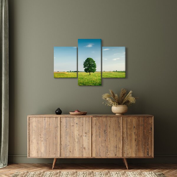 Obraz stromu uprostred lúky (90x60 cm)