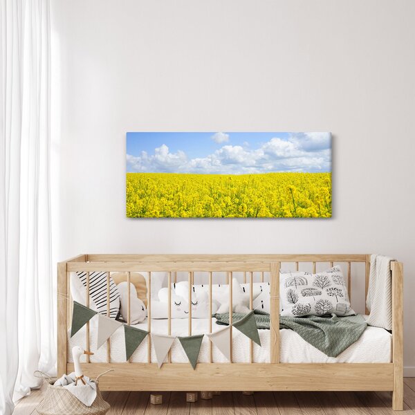 Obraz žltého poľa (120x50 cm)
