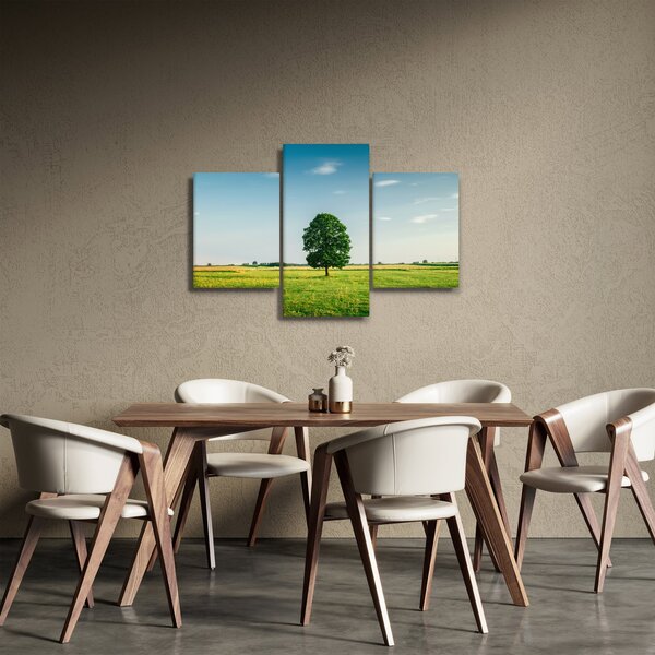 Obraz stromu uprostred lúky (90x60 cm)