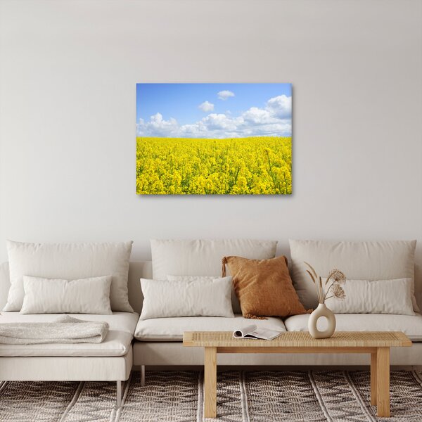 Obraz žltého poľa (70x50 cm)