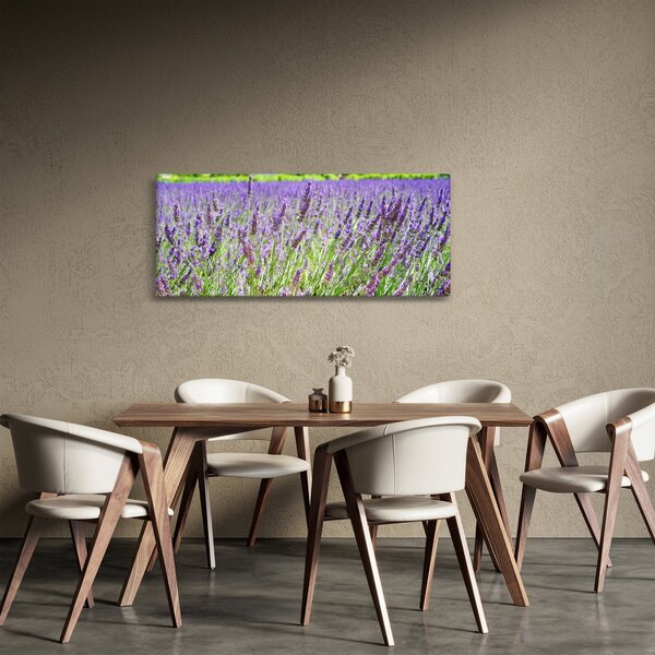 Obraz poľa s levanduľou (120x50 cm)