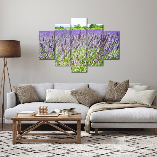 Obraz poľa s levanduľou (150x105 cm)