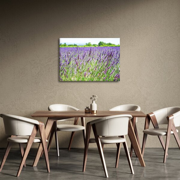 Obraz poľa s levanduľou (70x50 cm)