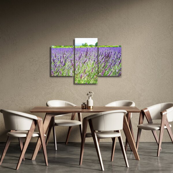 Obraz poľa s levanduľou (90x60 cm)