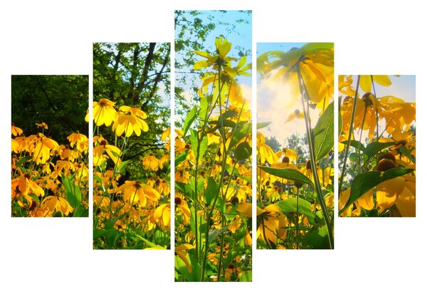 Obraz žltých kvetov (150x105 cm)