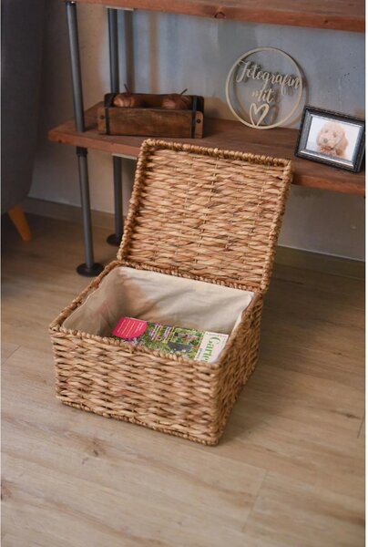 Eshop-kvetinace.sk Dekoračný box KIRA, vodný hyacint, šírka 41 cm, natur