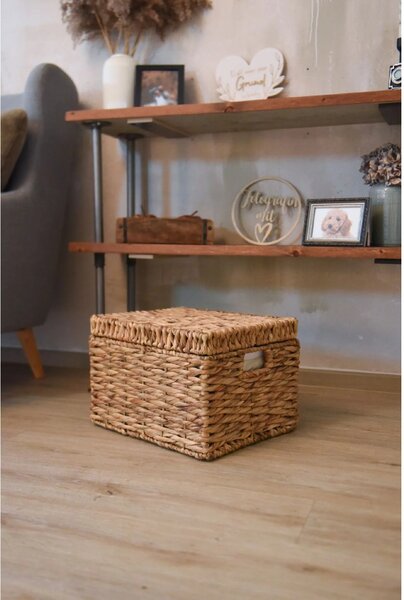 Eshop-kvetinace.sk Dekoračný box KIRA, vodný hyacint, šírka 41 cm, natur