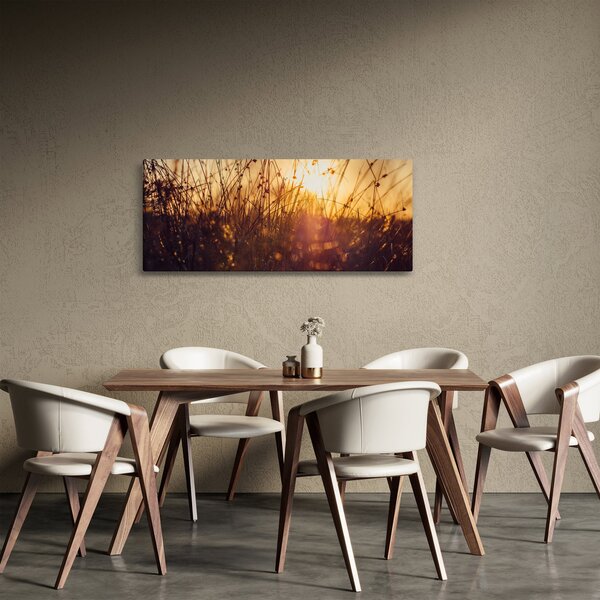 Obraz poľa pri západe slnka (120x50 cm)