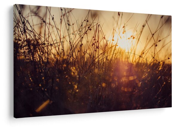 Obraz poľa pri západe slnka (90x60 cm)