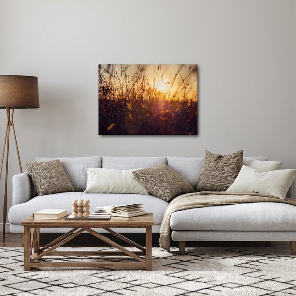 Obraz poľa pri západe slnka (70x50 cm)
