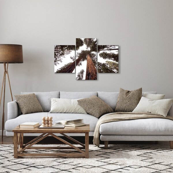 Obraz - Pohľad skrz koruny stromov (90x60 cm)