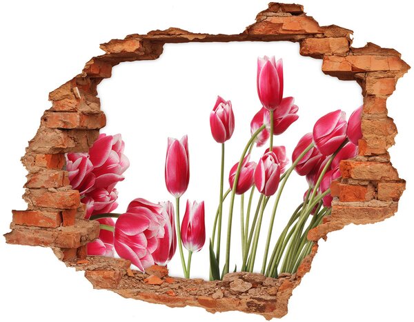 Diera 3D fototapeta na stenu Červené tulipány