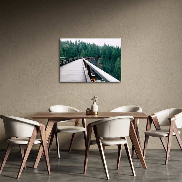 Obraz - Most k vrcholkom stromov (70x50 cm)