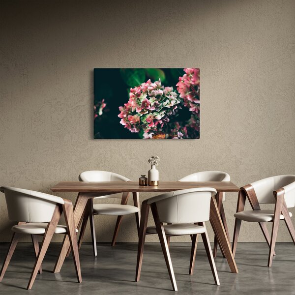 Obraz - Detail Hortenzie (90x60 cm)