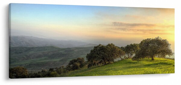 Obraz - Výhľad z kopca (120x50 cm)