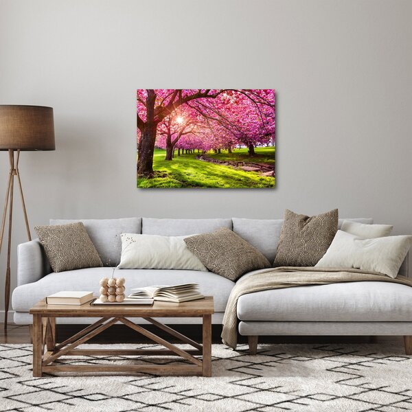 Obraz rozkvitnutých čerešní, Hurd Park, Dover, New Jersey (70x50 cm)