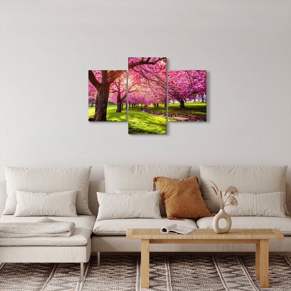 Obraz rozkvitnutých čerešní, Hurd Park, Dover, New Jersey (90x60 cm)