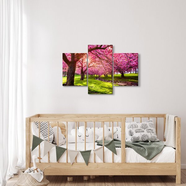 Obraz rozkvitnutých čerešní, Hurd Park, Dover, New Jersey (90x60 cm)