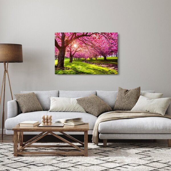 Obraz rozkvitnutých čerešní, Hurd Park, Dover, New Jersey (90x60 cm)