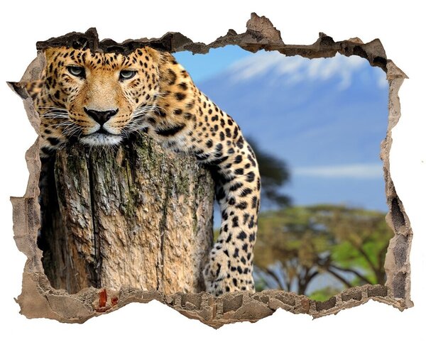 Díra 3D fototapeta na stěnu Leopard na pni nd-k-66888484