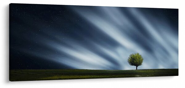 Obraz polárna žiara nad vresoviskom (120x50 cm)