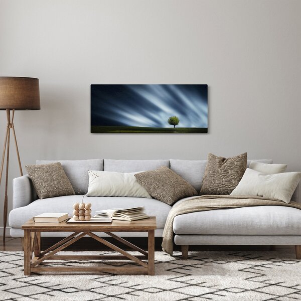 Obraz polárna žiara nad vresoviskom (120x50 cm)