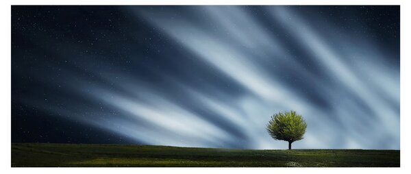 Obraz polárna žiara nad vresoviskom (120x50 cm)