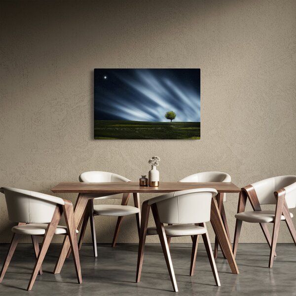 Obraz polárna žiara nad vresoviskom (90x60 cm)