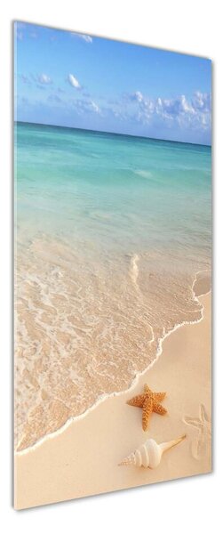 Fotoobraz na skle Hviezdice na pláži