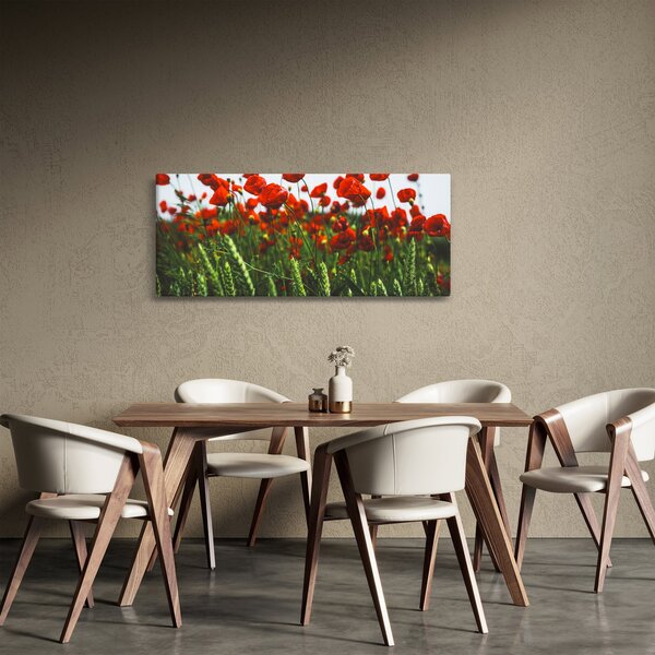 Obraz vlčích makov vo vetre (120x50 cm)