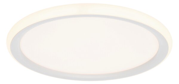 STROPNÉ LED SVIETIDLO, 30/3,5 cm Novel - Interiérové svietidlá