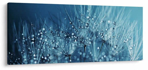 Obraz - Kvapky rosy (120x50 cm)